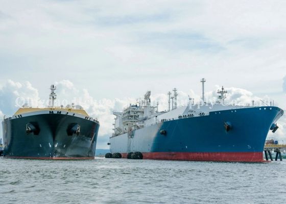 کیفیت CCS Certification مقاوم در برابر پنوماتیک دریایی فندر با لوله لاستیکی کارخانه