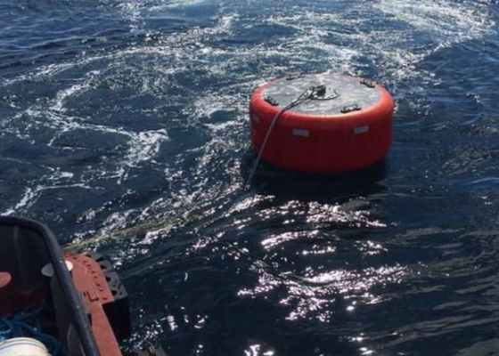 کیفیت مخزن دریایی موز Buoy EVA پلی اتیلن با عملکرد بالا کارخانه