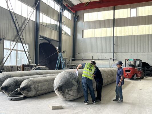 کیفیت Marine Rubber Airbag with Rapid Inflation Manifold for Simultaneous Multi Unit Operation in 0.8-3 M Diameter کارخانه
