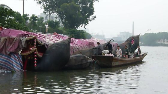 کیفیت کیسه هوای لاستیکی قابل تنظیم که مستقیماً توسط سازنده عرضه می شود کارخانه