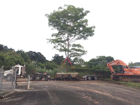 کیفیت کشتی لاستیکی دریایی راه اندازی کیسه هوای خشک اسکله راه اندازی کشتی بلند کردن کارخانه