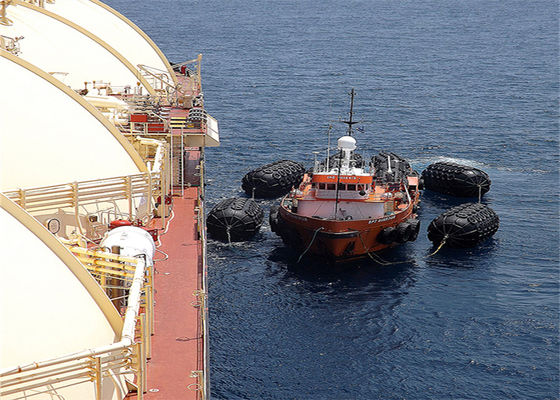 کیفیت D3.3*6.5L D1.2*2L STS STD Fneder لاستیک پنوماتیک دریایی حمل و نقل کارخانه